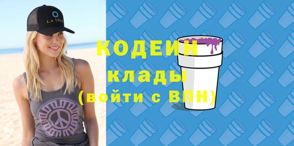 дурь Ельня
