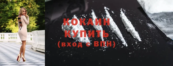 дурь Ельня