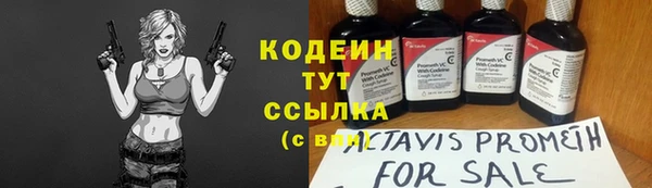 дурь Ельня