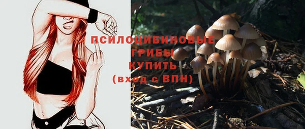 MDMA Елизово