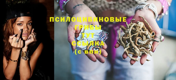 герыч Елабуга
