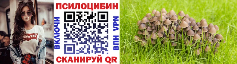 Купить  Евпатория  Галлюциногенные грибы Psilocybine cubensis 